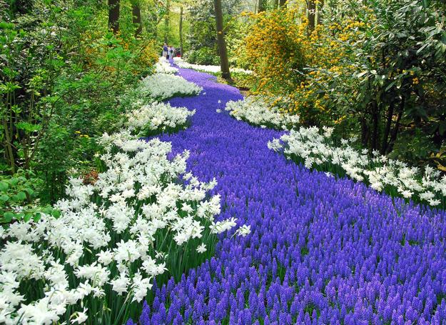 spring-flowers-yard-landscaping-ideas-3